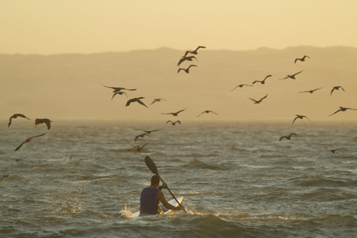Simon Blackburn training in KZN with feathered friends