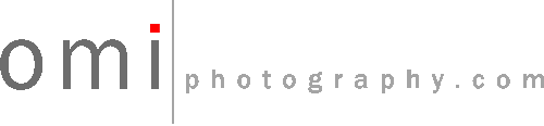 OMI Logo