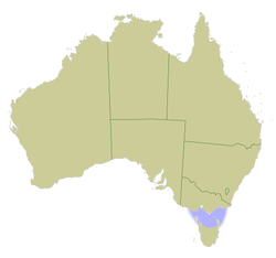 Bass Strait