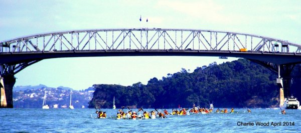 King of the Harbour 2014