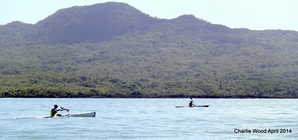 King of the Harbour 2014