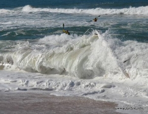 Carnage in the surf at the finish