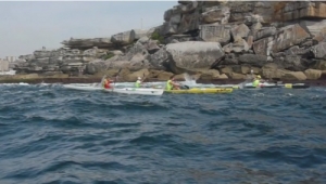 2010 Bondi to Watson's