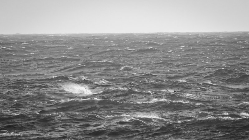 Cloud of spray