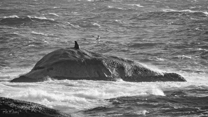 Downwind
