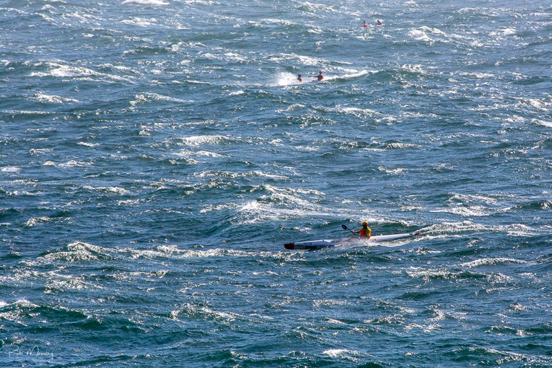 DSC 1131